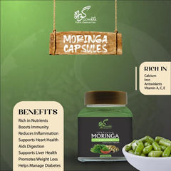 Moringa Capsules